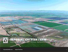 Tablet Screenshot of imperialcatfish.com